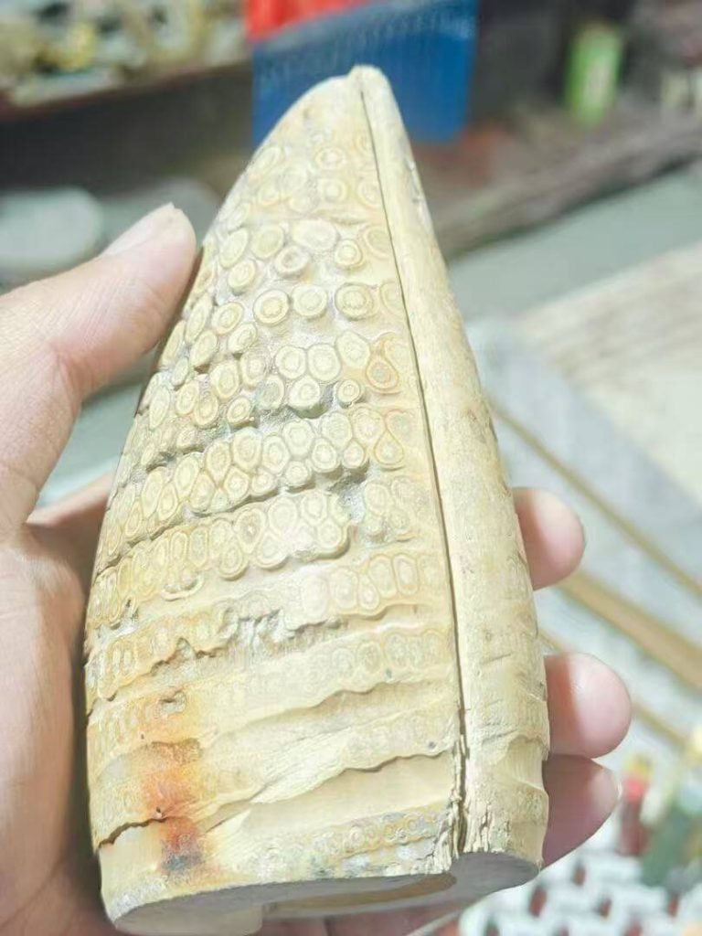 道教掷圣杯公司名算命公司取名