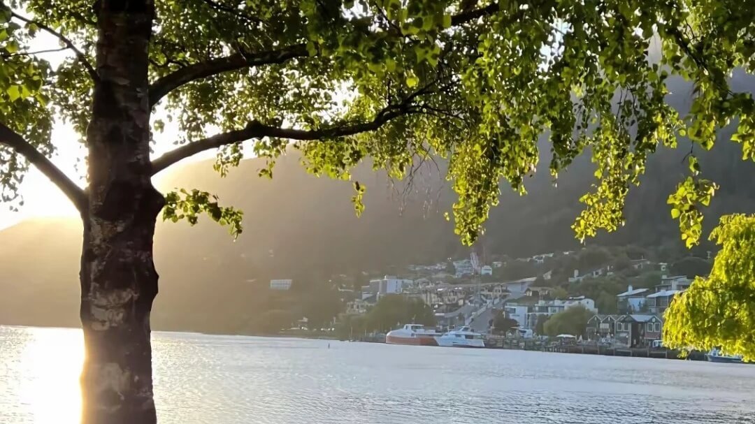 吸引力法則顯化桃花運