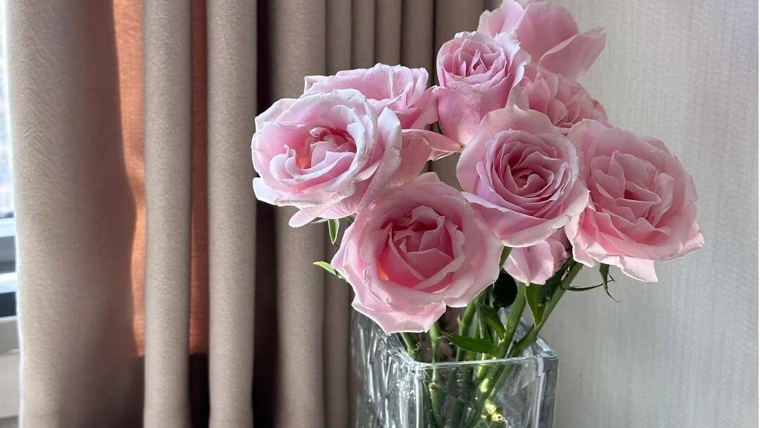 臥室招桃花擺設