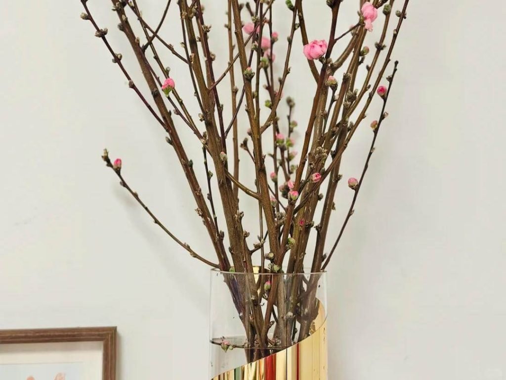 臥室招桃花風水